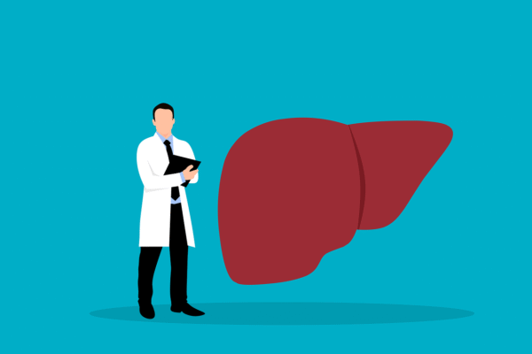 What is fatty liver disease? Liver