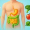 Healthy foods for gut health including yogurt, fruits, and leafy greens.