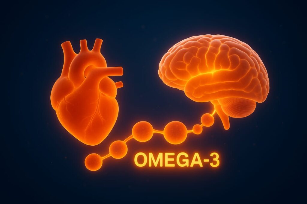 Illustration of heart and brain glowing through the chain of omega-3 fatty acids.