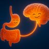 image shows the smiling gut and brain, symbolizing the strong gut-brain connection and the idea of “happy gut, happy mind”.